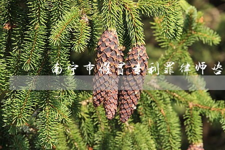 南宁市假冒专利罪律师咨询 南宁市假冒专利罪律师咨询