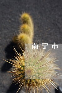 南宁市兴宁法院阳光司法网 南宁市兴宁法院阳光司法网