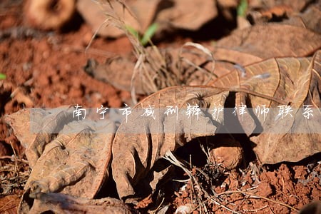 南宁市减刑辩护律师联系电话 南宁市减刑辩护律师联系电话