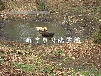南宁市司法学院 南宁市司法学院