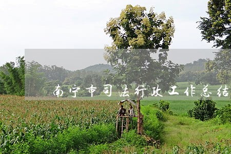南宁市司法行政工作总结 南宁市司法行政工作总结