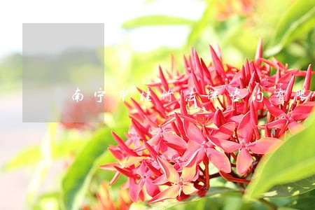 南宁市桂竹法律咨询有限公司 南宁市桂竹法律咨询有限公司