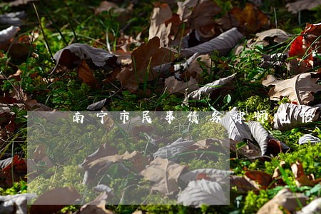 南宁市民事债务律师电话 南宁市民事债务律师电话
