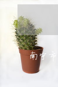 南宁市法律咨询 南宁市法律咨询