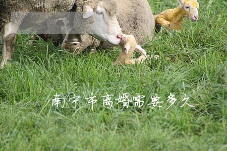 南宁市离婚需要多久