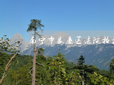 南宁市良庆区法院拍卖 南宁市良庆区法院拍卖