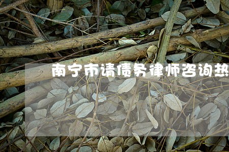 南宁市请债务律师咨询热线