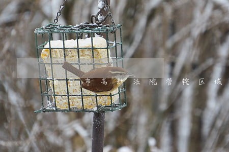 南宁市高新法院管辖区域 南宁市高新法院管辖区域