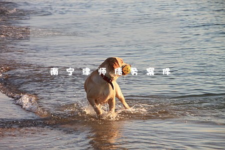 南宁律师债务案件 南宁律师债务案件