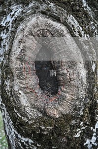 南宁律师法律咨询费用 南宁律师法律咨询费用