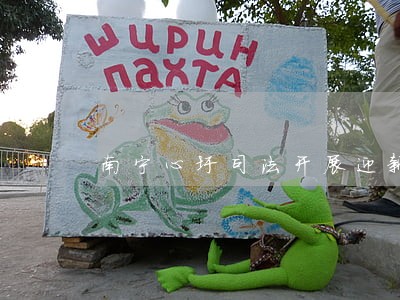 南宁心圩司法开展迎新春反邪宣传