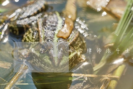 南宁房产诉讼律师法斗士