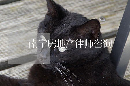 南宁房地产律师咨询
