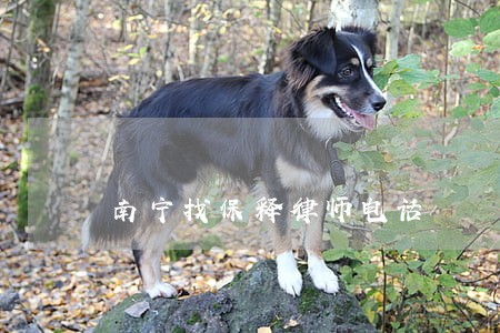 南宁找保释律师电话 南宁找保释律师电话