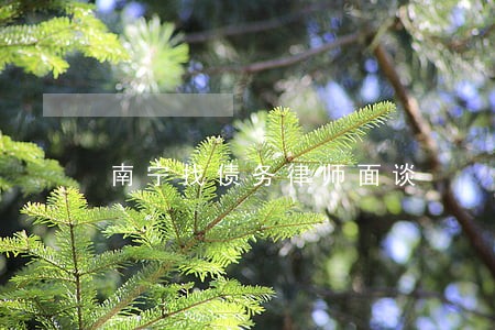 南宁找债务律师面谈 南宁找债务律师面谈