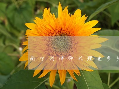 南宁找律师代理要多少钱 南宁找律师代理要多少钱