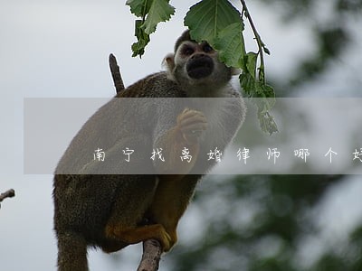 南宁找离婚律师哪个好