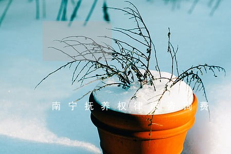 南宁抚养权律师咨询费 南宁抚养权律师咨询费