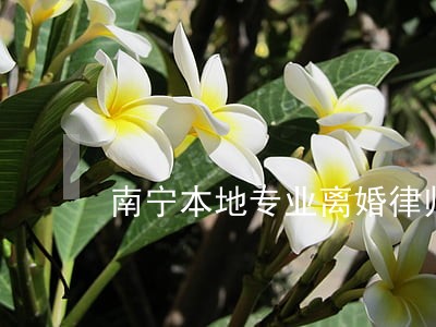 南宁本地专业离婚律师