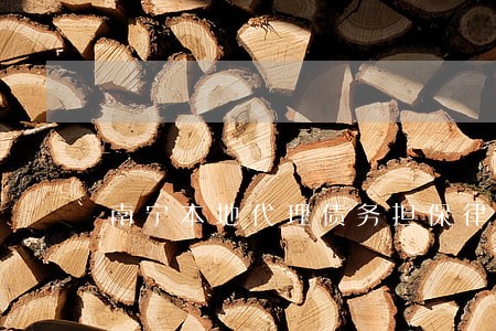南宁本地代理债务担保律师多少钱 南宁本地代理债务担保律师多少钱