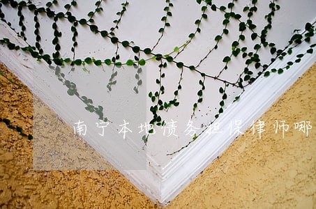 南宁本地债务担保律师哪个好