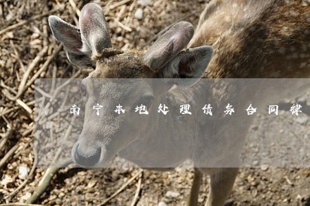 南宁本地处理债务合同律师介绍 南宁本地处理债务合同律师介绍