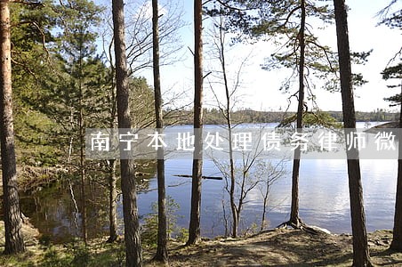 南宁本地处理债务律师微信咨询 南宁本地处理债务律师微信咨询