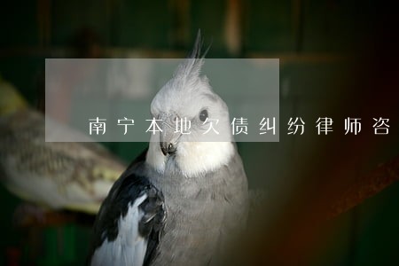 南宁本地欠债纠纷律师咨询热线