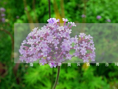 南宁本地良庆债务合同律师 南宁本地良庆债务合同律师