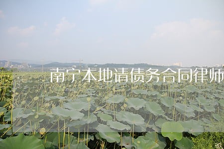 南宁本地请债务合同律师