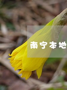 南宁本地请债务合同律师哪里找 南宁本地请债务合同律师哪里找