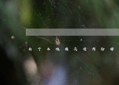 南宁本地请欠债纠纷律师收费标准 南宁本地请欠债纠纷律师收费标准