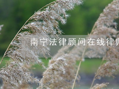 南宁法律顾问在线律师 南宁法律顾问在线律师