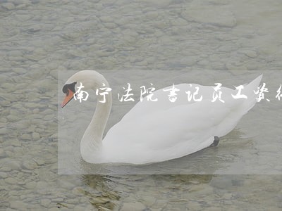 南宁法院书记员工资待遇 南宁法院书记员工资待遇