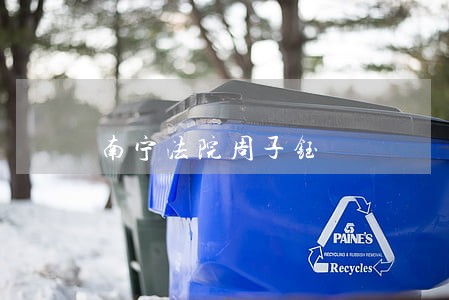 南宁法院周子钰 南宁法院周子钰