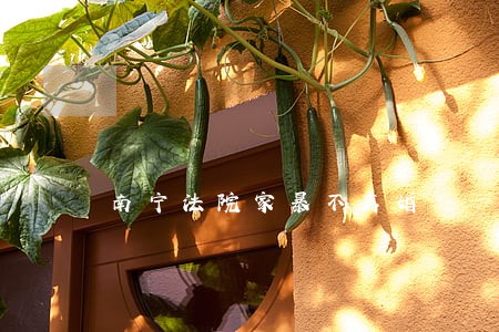 南宁法院家暴不离婚