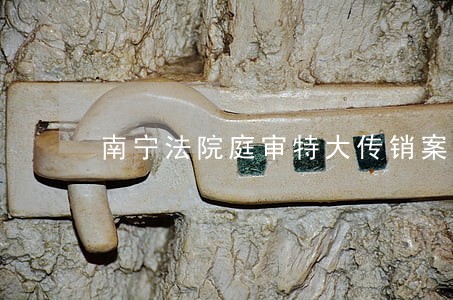 南宁法院庭审特大传销案