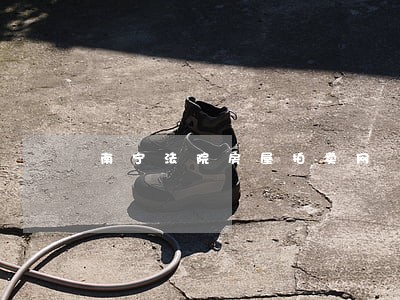 南宁法院房屋拍卖网 南宁法院房屋拍卖网