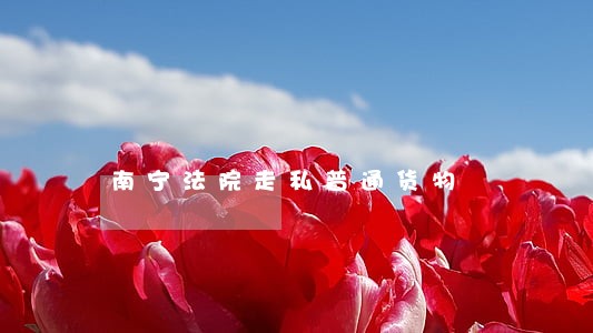 南宁法院走私普通货物 南宁法院走私普通货物