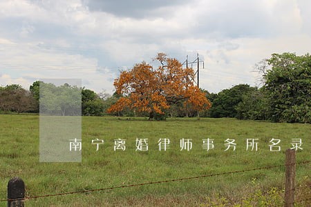 南宁离婚律师事务所名录 南宁离婚律师事务所名录