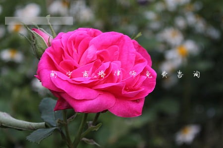 南宁离婚律师免费咨询 南宁离婚律师免费咨询
