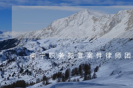 南宁职务犯罪案件律师团 南宁职务犯罪案件律师团