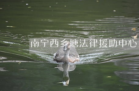 南宁西乡塘法律援助中心 南宁西乡塘法律援助中心