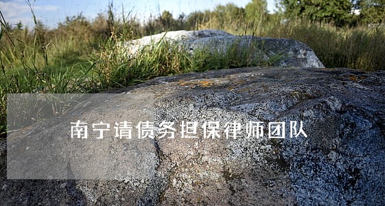 南宁请债务担保律师团队 南宁请债务担保律师团队