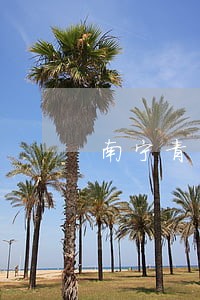 南宁青秀区好的公司犯罪律师 南宁青秀区好的公司犯罪律师