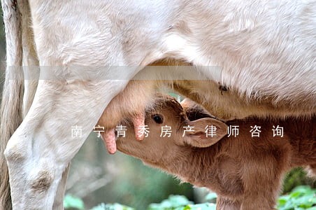 南宁青秀房产律师咨询 南宁青秀房产律师咨询
