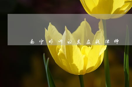 南宁非诉讼类在线律师 南宁非诉讼类在线律师