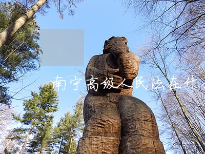 南宁高级人民法在什么路 南宁高级人民法在什么路