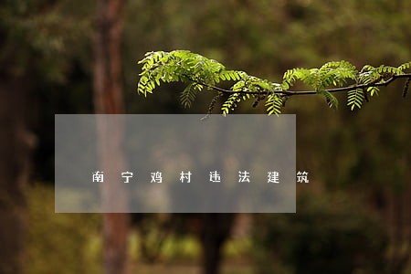 南宁鸡村违法建筑 南宁鸡村违法建筑