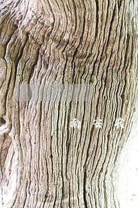 南安农商银行逾期